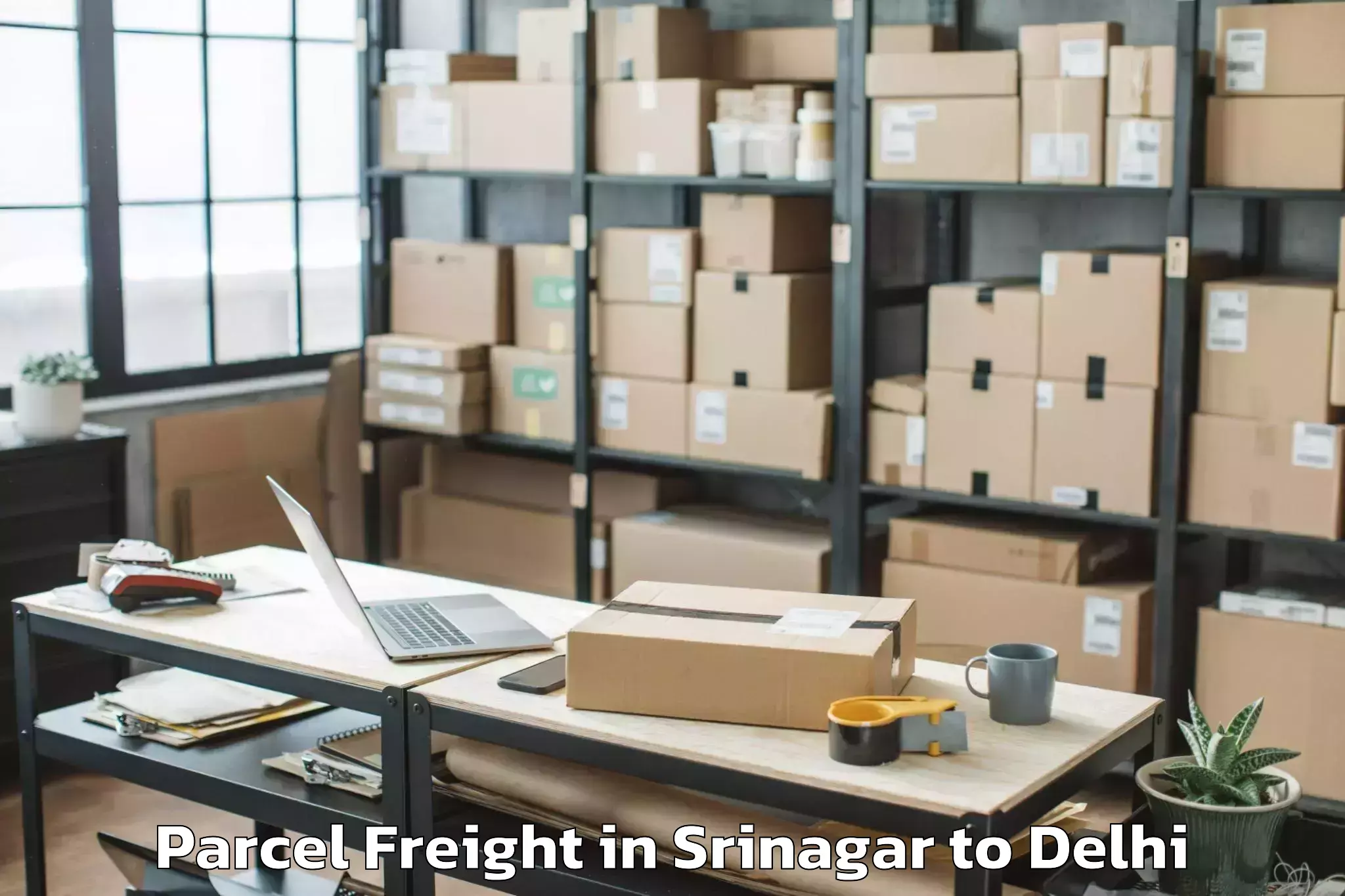 Expert Srinagar to Chanakya Puri Parcel Freight